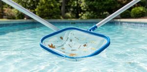 A surface skimmer net moving through sunlit pool water, collecting various leaves, twigs, and yellow pollen particles floating on the surface.